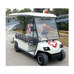electric-ambulance-250×250 (1)